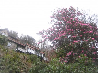 Hewitts-Villa Spaldi